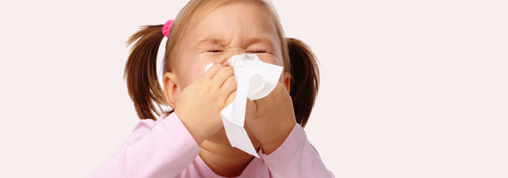 Chiropractic Waukesha WI Cold and Flu Season